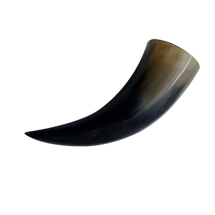 horn 3 copy