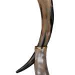 HR81 Horn Glass with Horn Stand