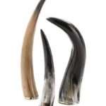 HR85 Stylish Drinking Horn