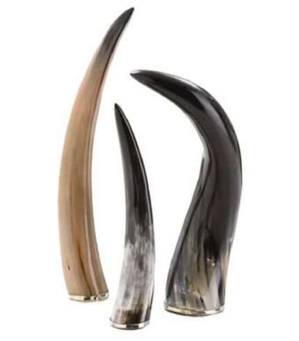 HR85 Stylish Drinking Horn