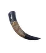 Horn 32