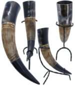 Horn 31