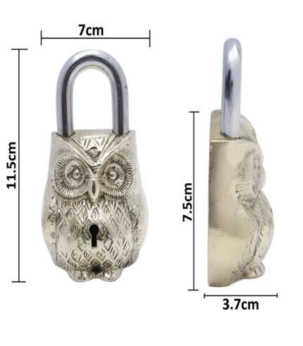 complete lock owl