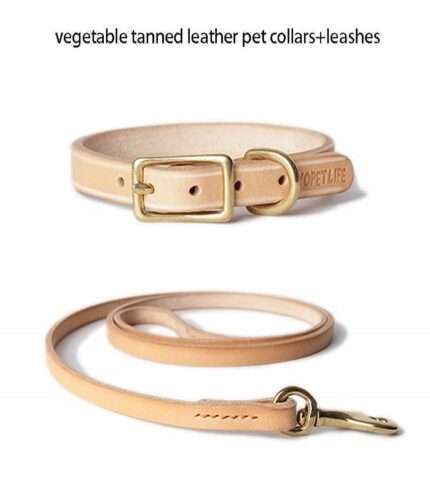 Pet Collar & Lashes