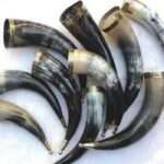 HR99 Drinking Horns