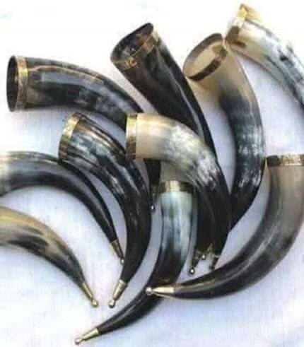 HR99 Drinking Horns