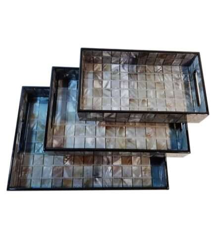 Tray for Daily Purpose