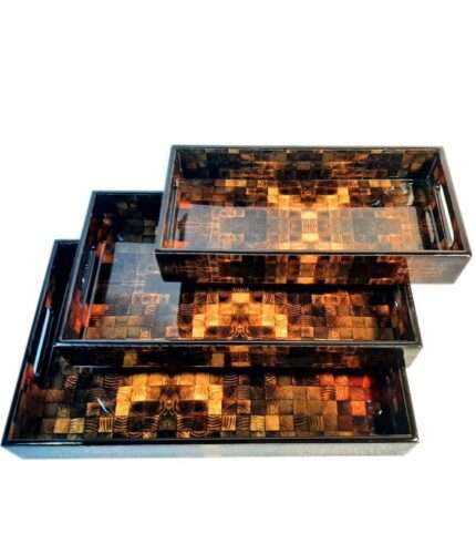 Multi color Tray for daily use