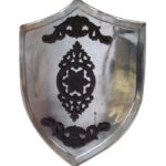 F50 Battle Steel Shield