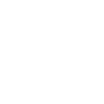 Chainmail KH-41