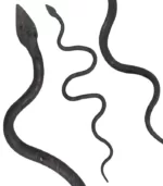 SI01 Snake Iron - Image 5