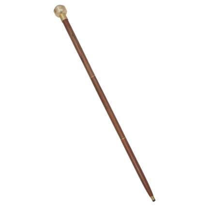NT12 Antique Brass Compass On Top Head Handle Walking Stick