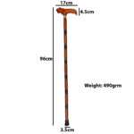 WS06 Walking Stick New lion Head - Image 6